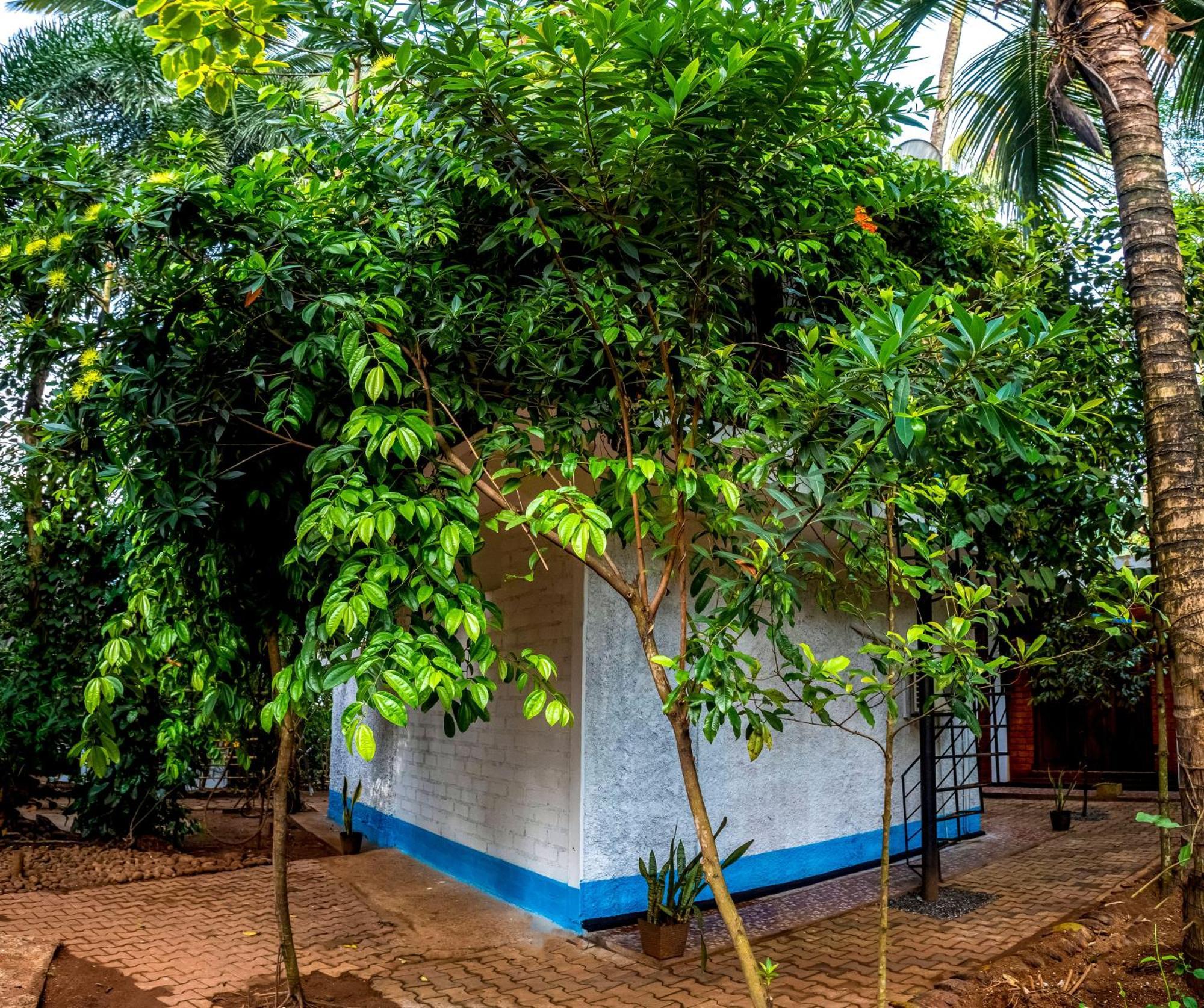 Jays Place Matale Kawudupelella Zewnętrze zdjęcie